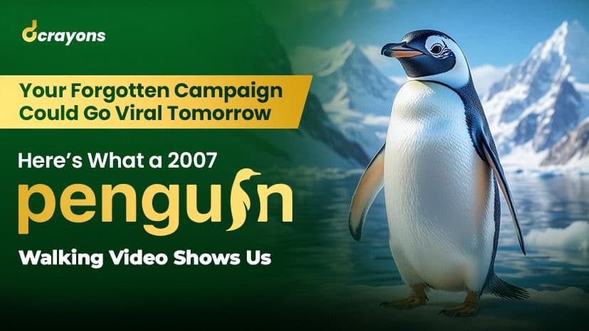 Your Forgotten Campaign Could Go Viral Tomorrow - Here’s What a 2007 Penguin Walking Video Shows Us